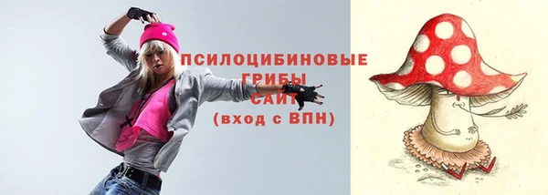 молекула духа Балахна